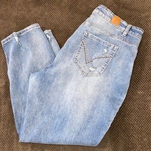 Susan Betro Light Wash Plus Boyfriend Jeans